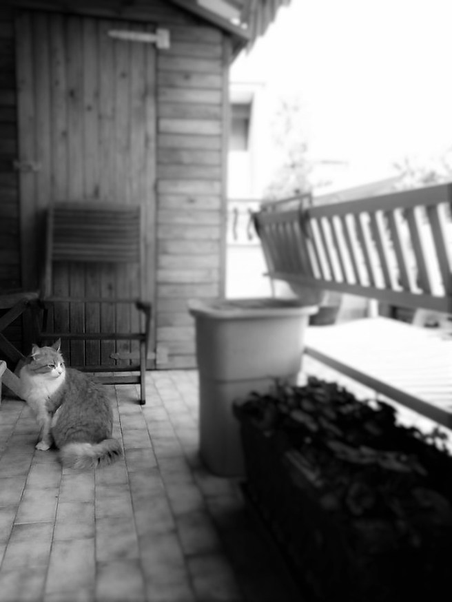 14657319_10154553567771678_561133082924059684_n